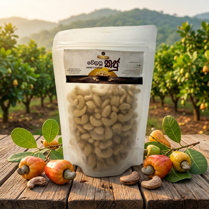 Dried Cashew - වියලි කජුමද