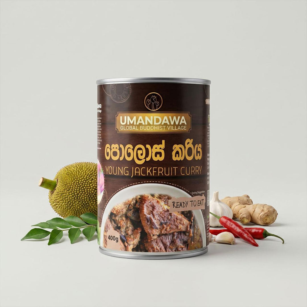 Canned young jackfruit curry with jackfruit, curry leaves, chili, ginger, and garlic on white background