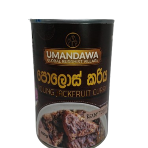 Young Jackfruit Curry 400g
